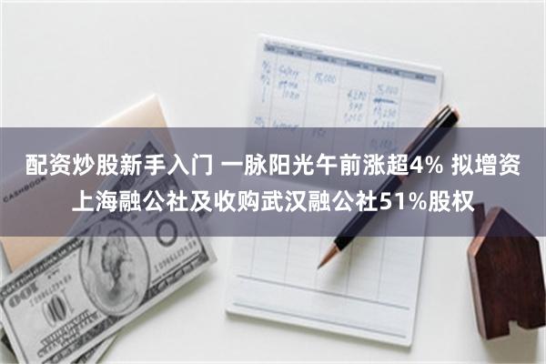 配资炒股新手入门 一脉阳光午前涨超4% 拟增资上海融公社及收购武汉融公社51%股权