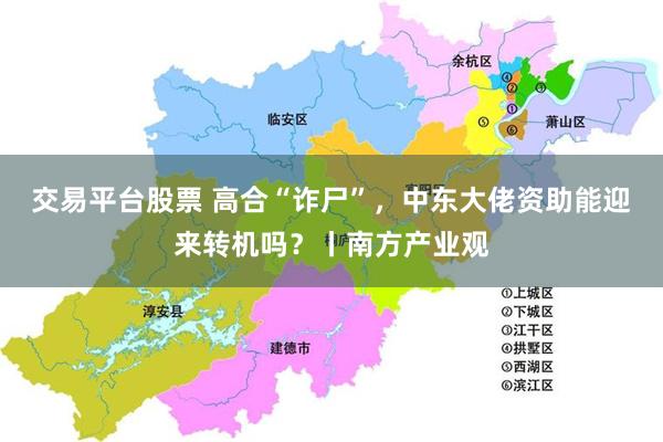 交易平台股票 高合“诈尸”，中东大佬资助能迎来转机吗？丨南方产业观