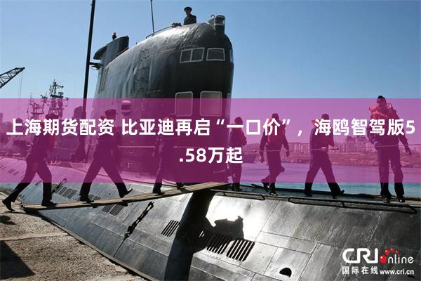 上海期货配资 比亚迪再启“一口价”，海鸥智驾版5.58万起