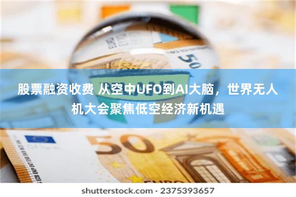 股票融资收费 从空中UFO到AI大脑，世界无人机大会聚焦低空经济新机遇