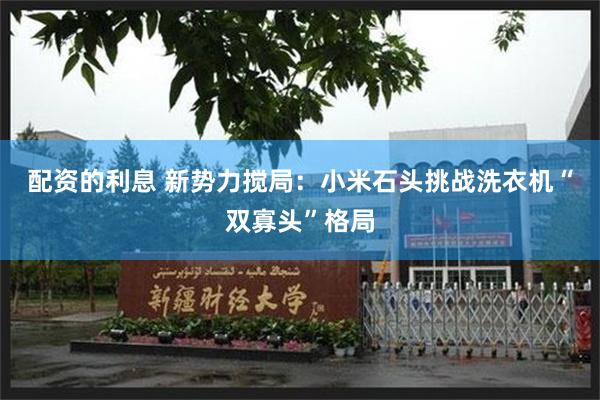 配资的利息 新势力搅局：小米石头挑战洗衣机“双寡头”格局