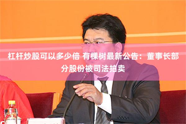 杠杆炒股可以多少倍 有棵树最新公告：董事长部分股份被司法拍卖