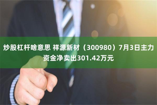 炒股杠杆啥意思 祥源新材（300980）7月3日主力资金净卖出301.42万元