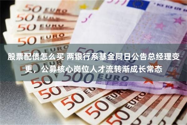 股票配债怎么买 两银行系基金同日公告总经理变更，公募核心岗位人才流转渐成长常态