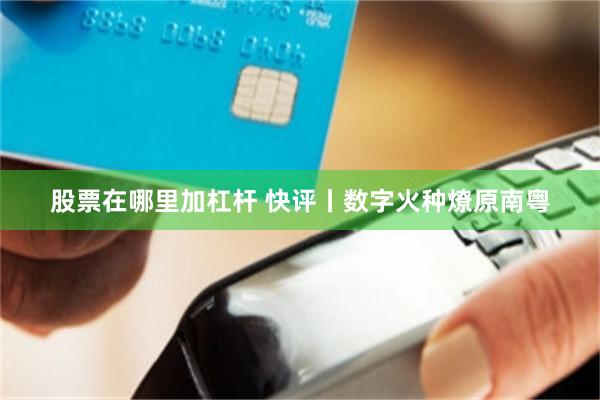 股票在哪里加杠杆 快评丨数字火种燎原南粤