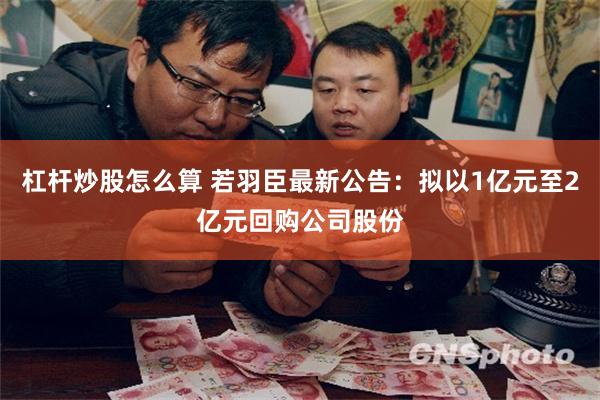 杠杆炒股怎么算 若羽臣最新公告：拟以1亿元至2亿元回购公司股份