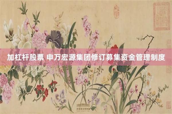 加杠杆股票 申万宏源集团修订募集资金管理制度