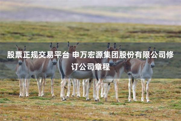 股票正规交易平台 申万宏源集团股份有限公司修订公司章程
