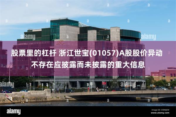股票里的杠杆 浙江世宝(01057)A股股价异动 不存在应披露而未披露的重大信息