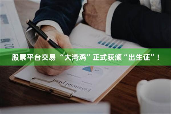 股票平台交易 “大湾鸡”正式获颁“出生证”！