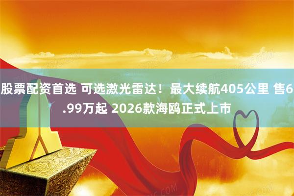 股票配资首选 可选激光雷达！最大续航405公里 售6.99万起 2026款海鸥正式上市
