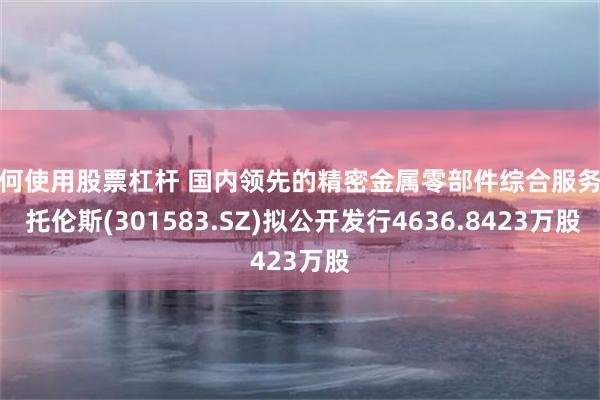 如何使用股票杠杆 国内领先的精密金属零部件综合服务商 托伦斯(301583.SZ)拟公开发行4636.8423万股