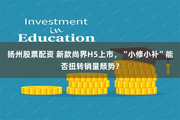 扬州股票配资 新款尚界H5上市，“小修小补”能否扭转销量颓势？