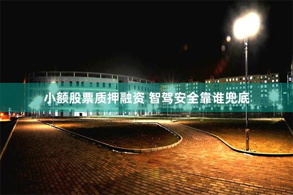 小额股票质押融资 智驾安全靠谁兜底