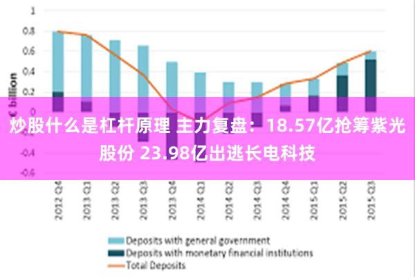 炒股什么是杠杆原理 主力复盘：18.57亿抢筹紫光股份 23.98亿出逃长电科技
