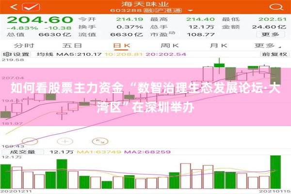 如何看股票主力资金 “数智治理生态发展论坛·大湾区”在深圳举办