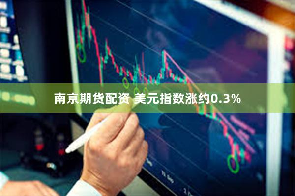 南京期货配资 美元指数涨约0.3%