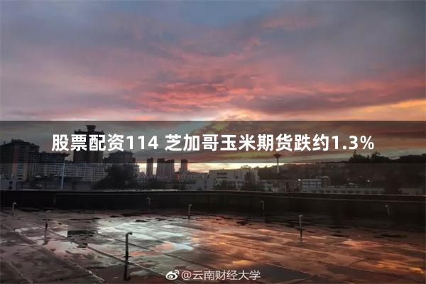 股票配资114 芝加哥玉米期货跌约1.3%