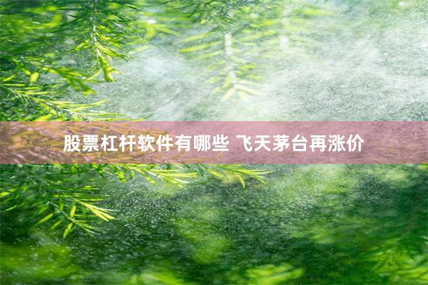 股票杠杆软件有哪些 飞天茅台再涨价