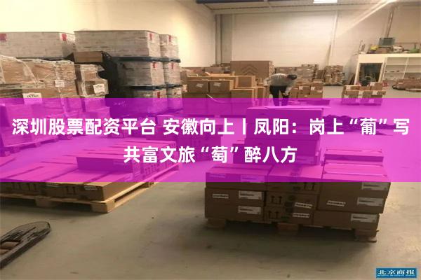 深圳股票配资平台 安徽向上丨凤阳：岗上“葡”写共富文旅“萄”醉八方
