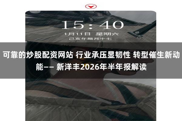 可靠的炒股配资网站 行业承压显韧性 转型催生新动能—— 新洋丰2026年半年报解读