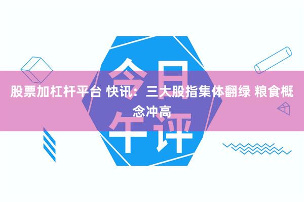 股票加杠杆平台 快讯：三大股指集体翻绿 粮食概念冲高