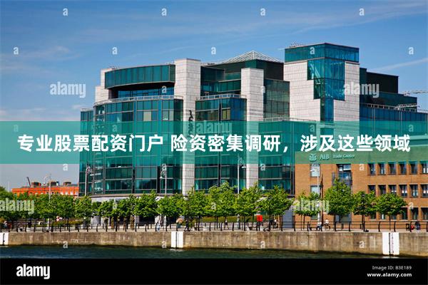 专业股票配资门户 险资密集调研,涉及这些领域