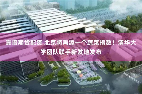 靠谱期货配资 北京将再添一个蔬菜指数！清华大学团队联手新发地发布