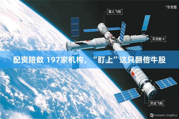 配资陪数 197家机构，“盯上”这只翻倍牛股