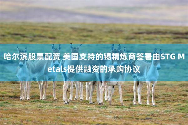 哈尔滨股票配资 美国支持的锡精炼商签署由STG Metals提供融资的承购协议