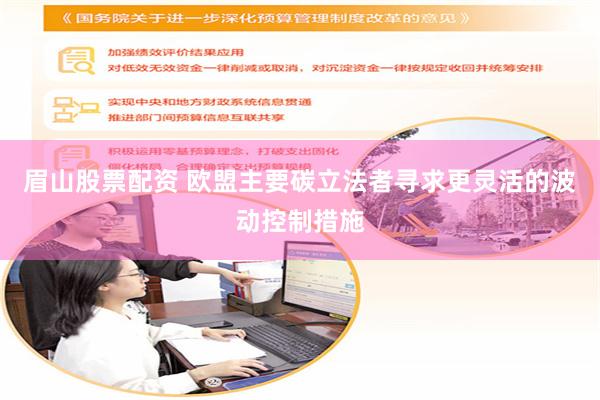 眉山股票配资 欧盟主要碳立法者寻求更灵活的波动控制措施