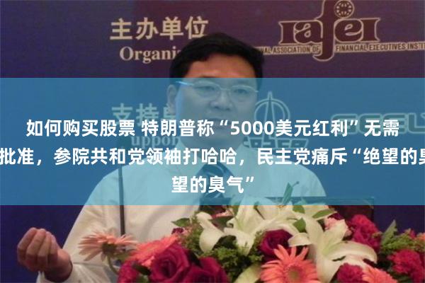 如何购买股票 特朗普称“5000美元红利”无需国会批准，参院共和党领袖打哈哈，民主党痛斥“绝望的臭气”