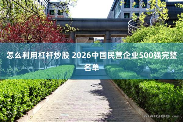 怎么利用杠杆炒股 2026中国民营企业500强完整名单
