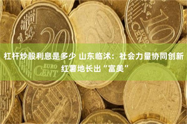 杠杆炒股利息是多少 山东临沭：社会力量协同创新 红薯地长出“富美”
