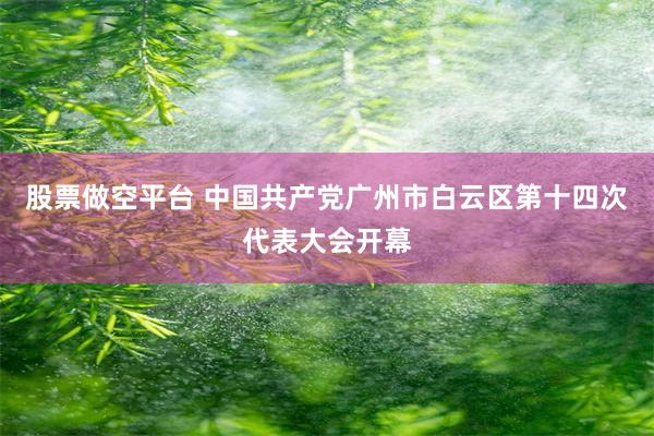 股票做空平台 中国共产党广州市白云区第十四次代表大会开幕