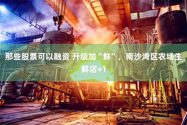 那些股票可以融资 升级加“鲜”，南沙湾区农场生鲜店+1