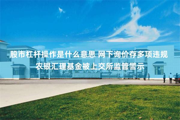 股市杠杆操作是什么意思 网下询价存多项违规 农银汇理基金被上交所监管警示