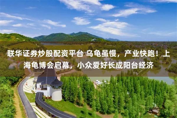 联华证券炒股配资平台 乌龟虽慢，产业快跑！上海龟博会启幕，小众爱好长成阳台经济