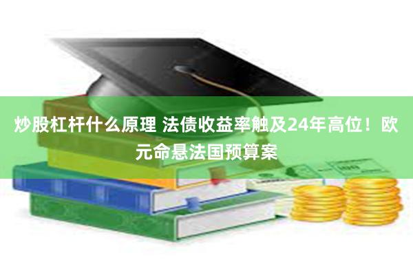炒股杠杆什么原理 法债收益率触及24年高位！欧元命悬法国预算案